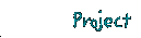 the project